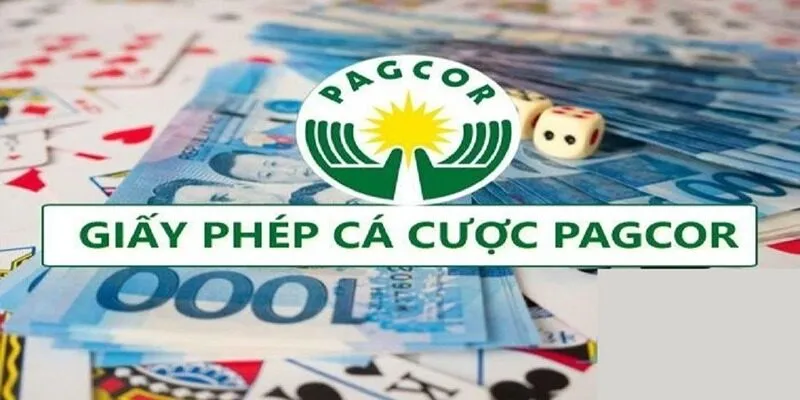 Nền tảng đã đáp ứng tiêu chí nào để có giấy phép hoạt động?